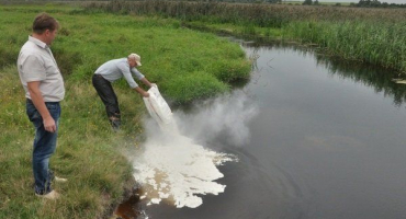 Jak můžete pohnojit jezírko a jak to udělat správně?